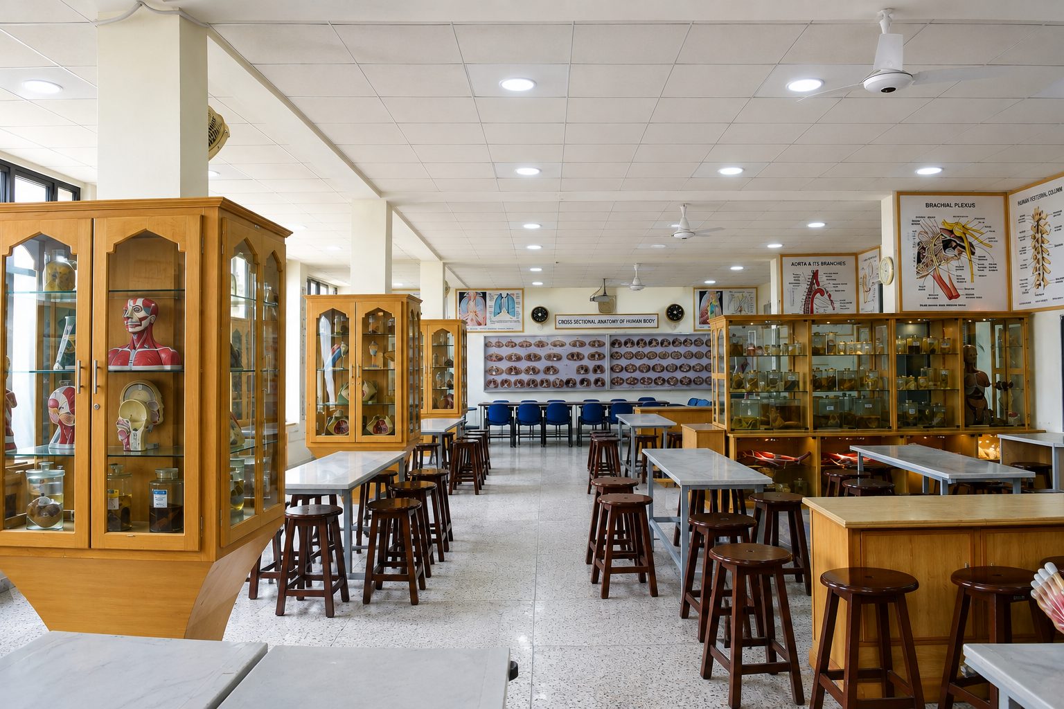 Anatomy Lab