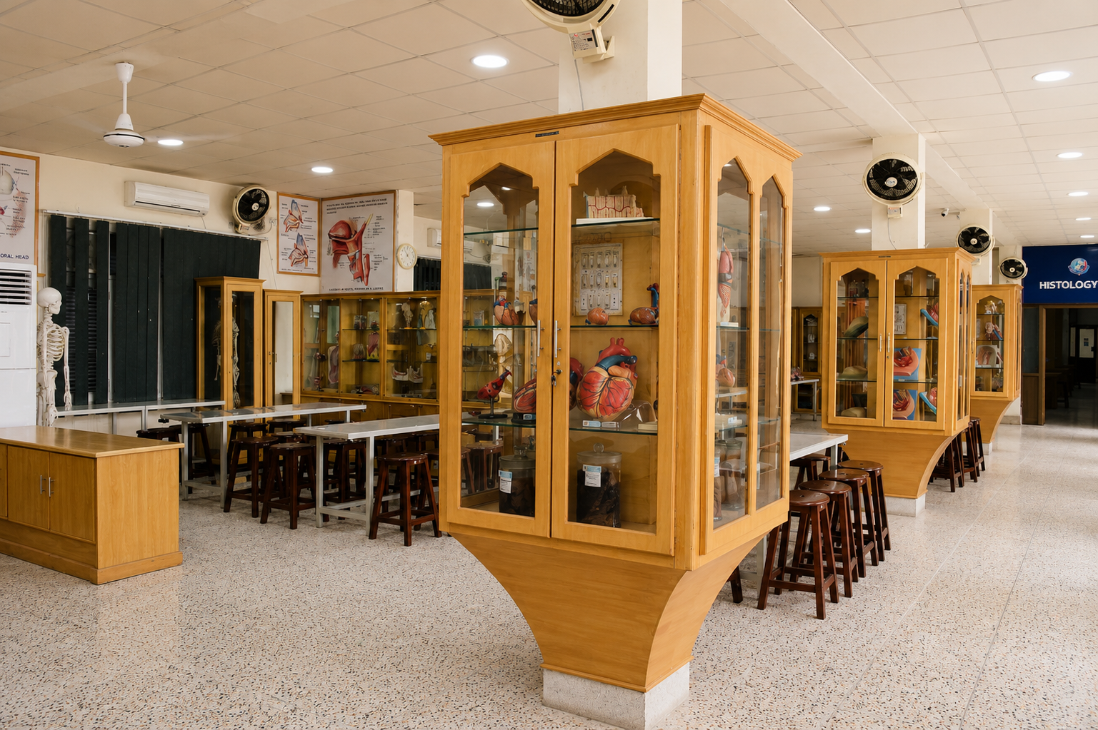 Anatomy Lab
